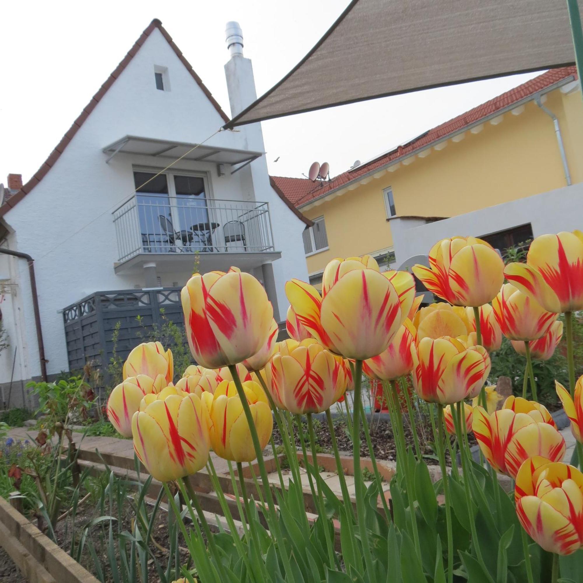 Spira House Appartement Buitenkant foto